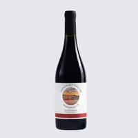 Bottle of red wine with a black label and red band on a light background