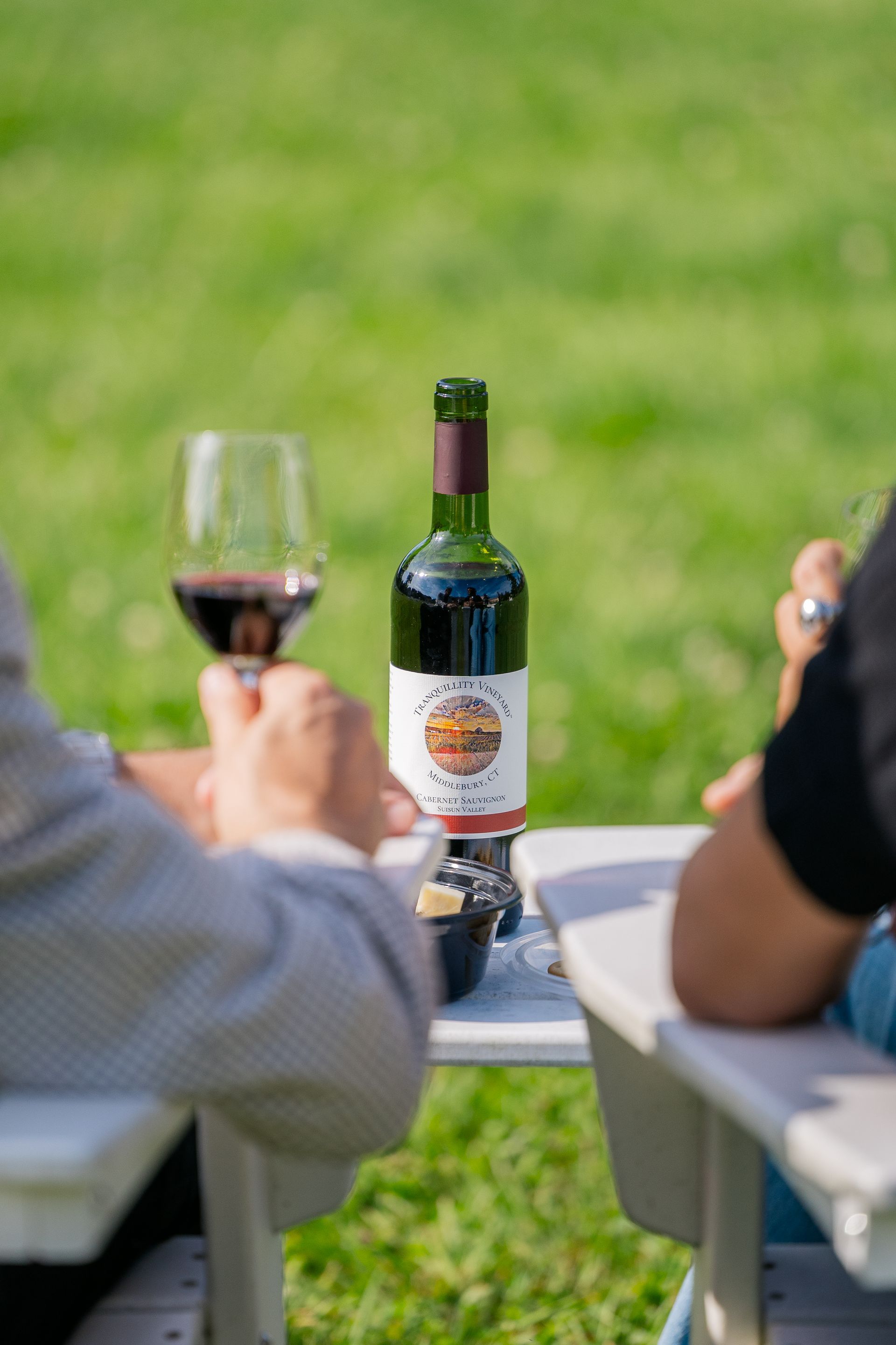 Wine bottle on a table outdoors, with two people seated and a glass of red wine in a grassy setting