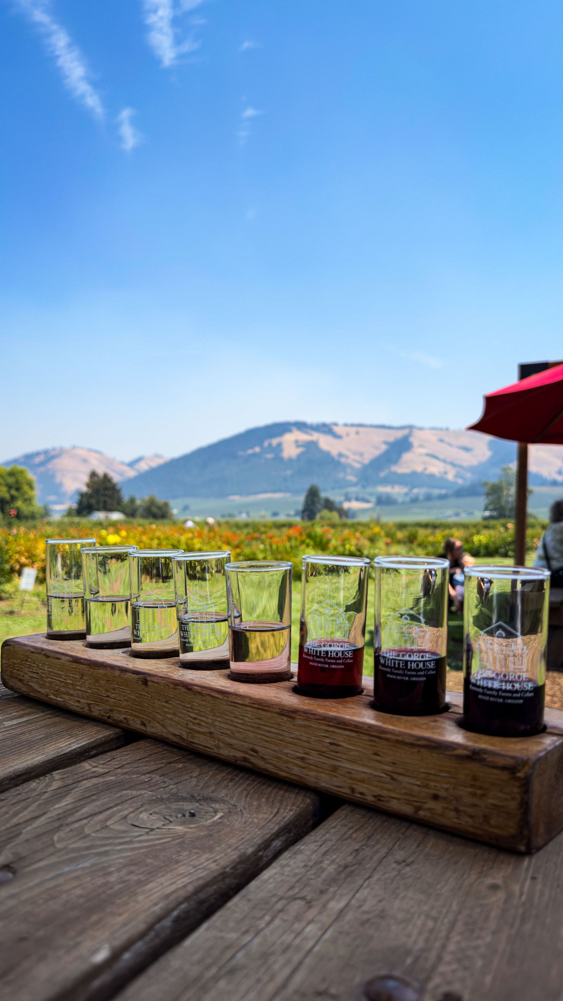Row of small potted plants on a wooden table with mountains and blue sky in the background