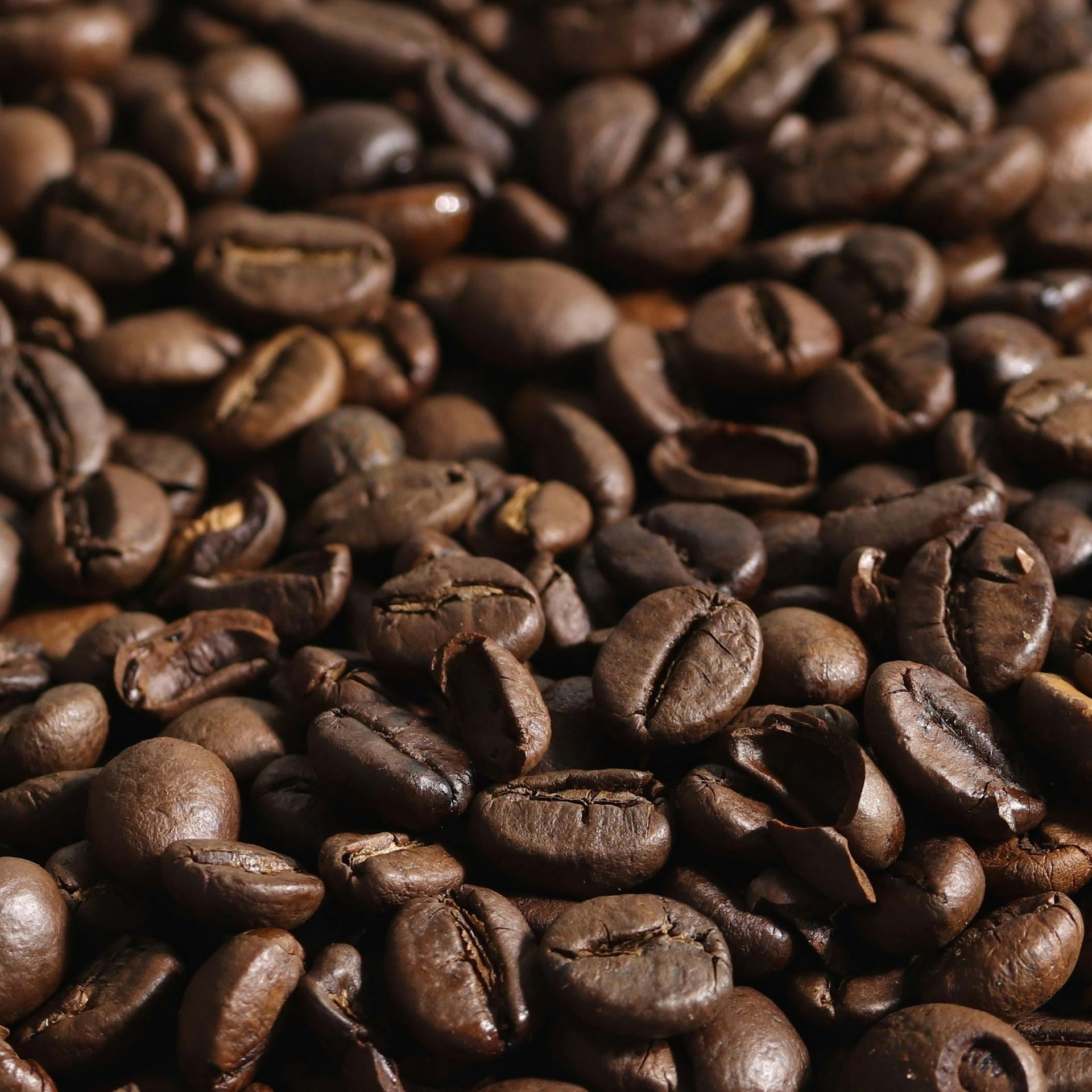 Close-up of roasted coffee beans filling the frame, dark brown and glossy.