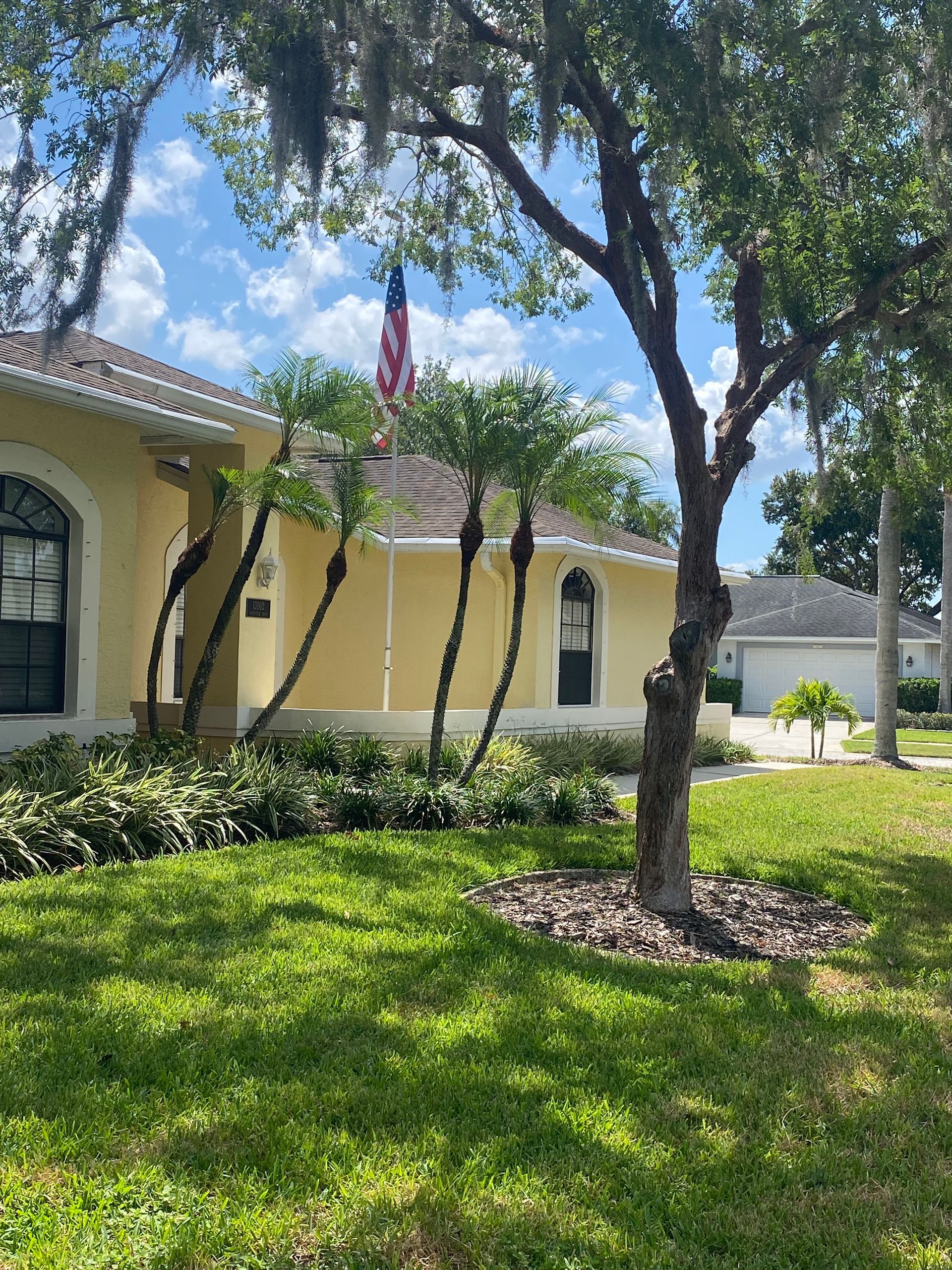 A house with a tree in front of it and a flag on the roof.