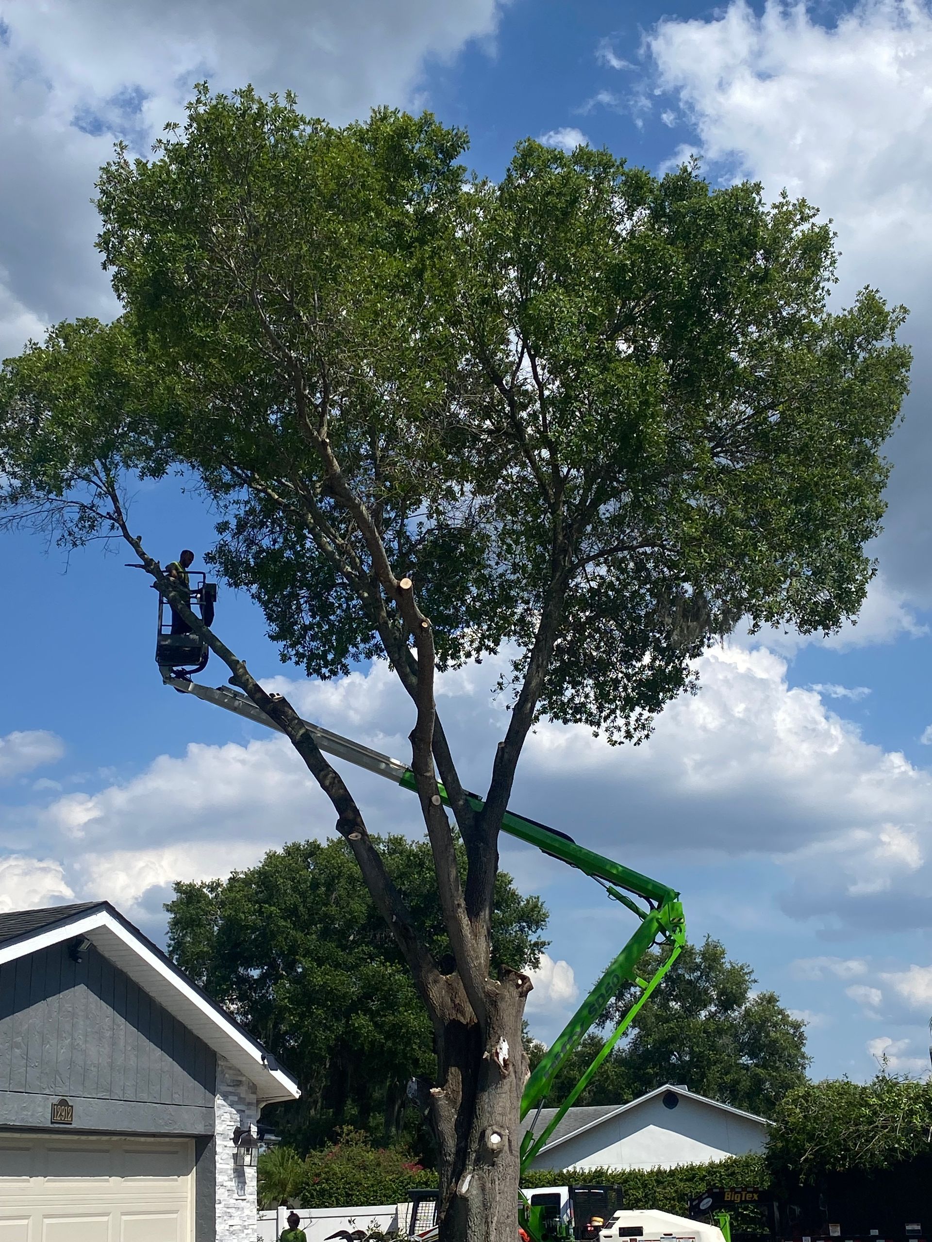 A man is cutting a tree with a crane in front of a house.