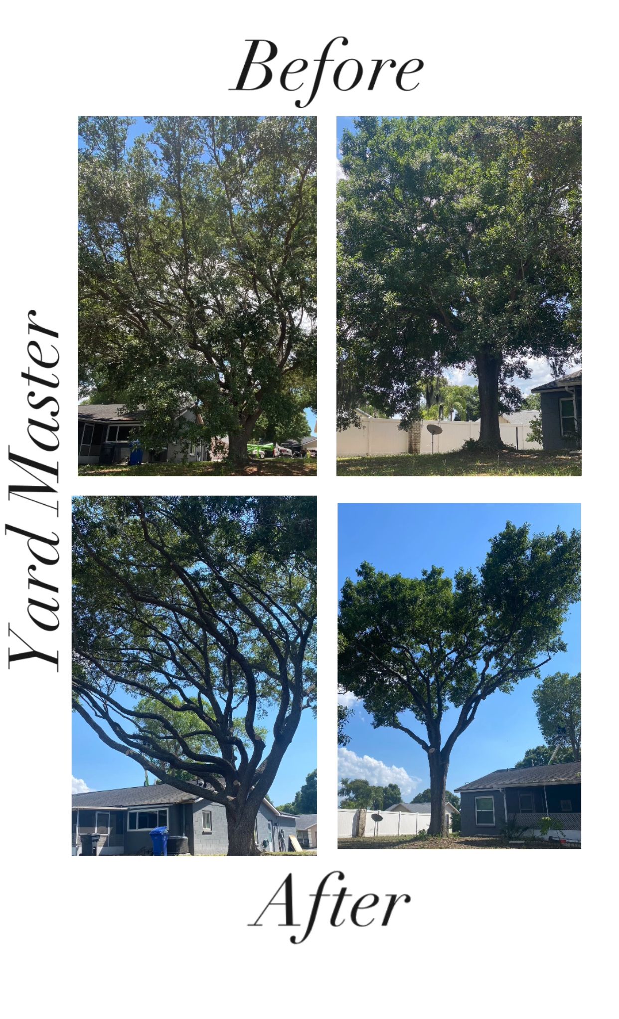 A before and after picture of a tree being cut down.