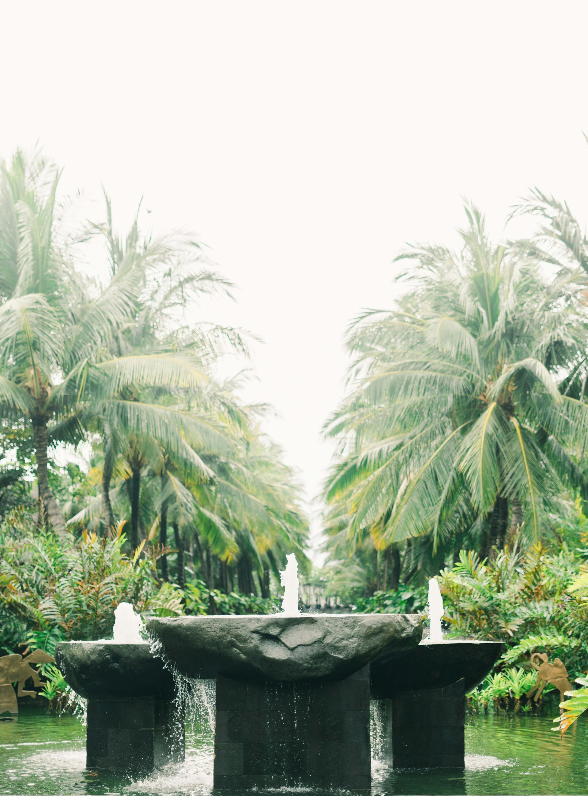 A fountain in a park surrounded by palm trees