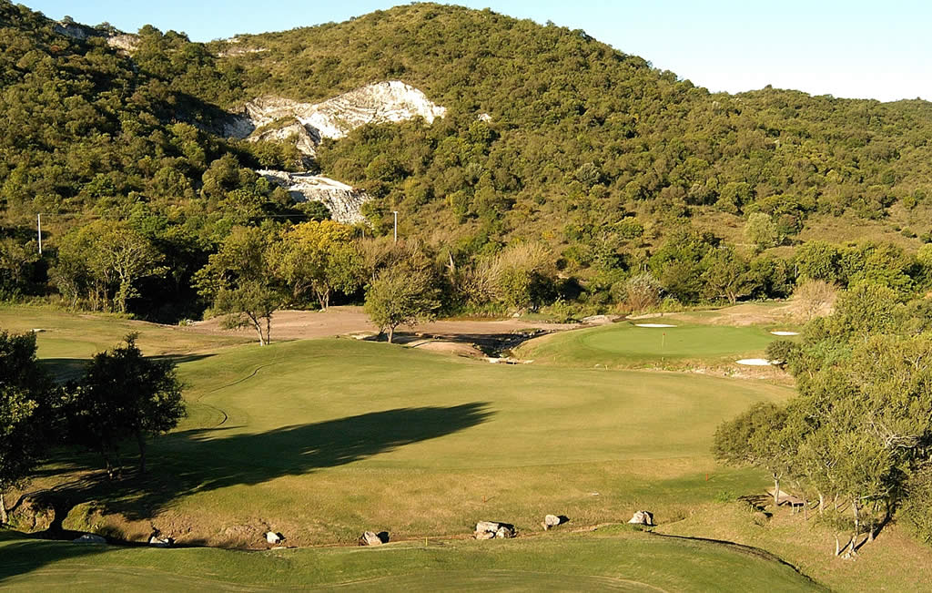 Un exuberante campo verde con árboles y montañas al fondo