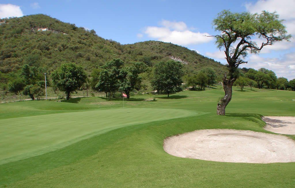 Un campo de golf con un árbol en medio.