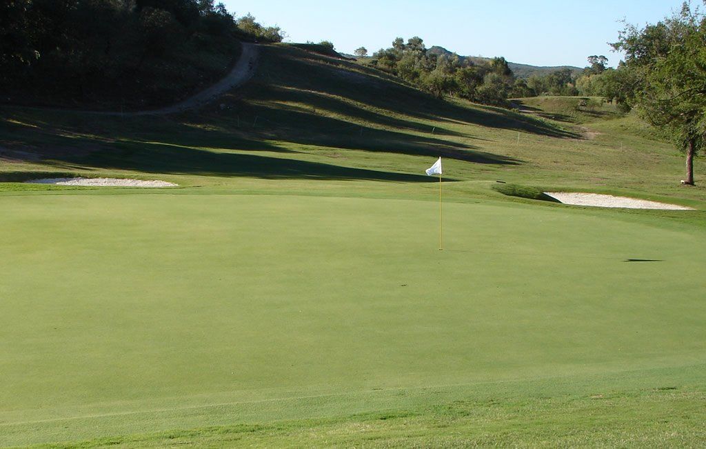 Un campo de golf con un green y árboles al fondo.