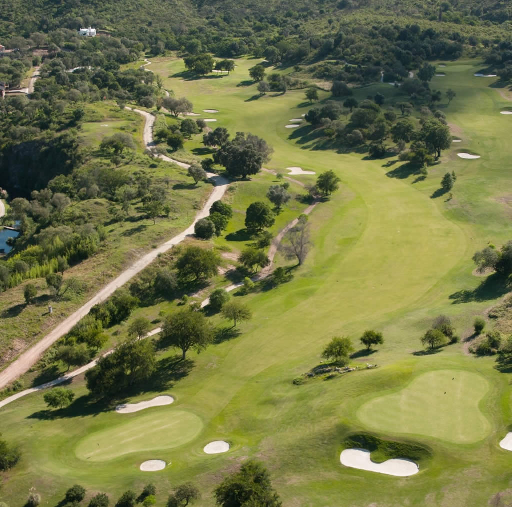 Una vista aérea de un campo de golf rodeado de árboles.