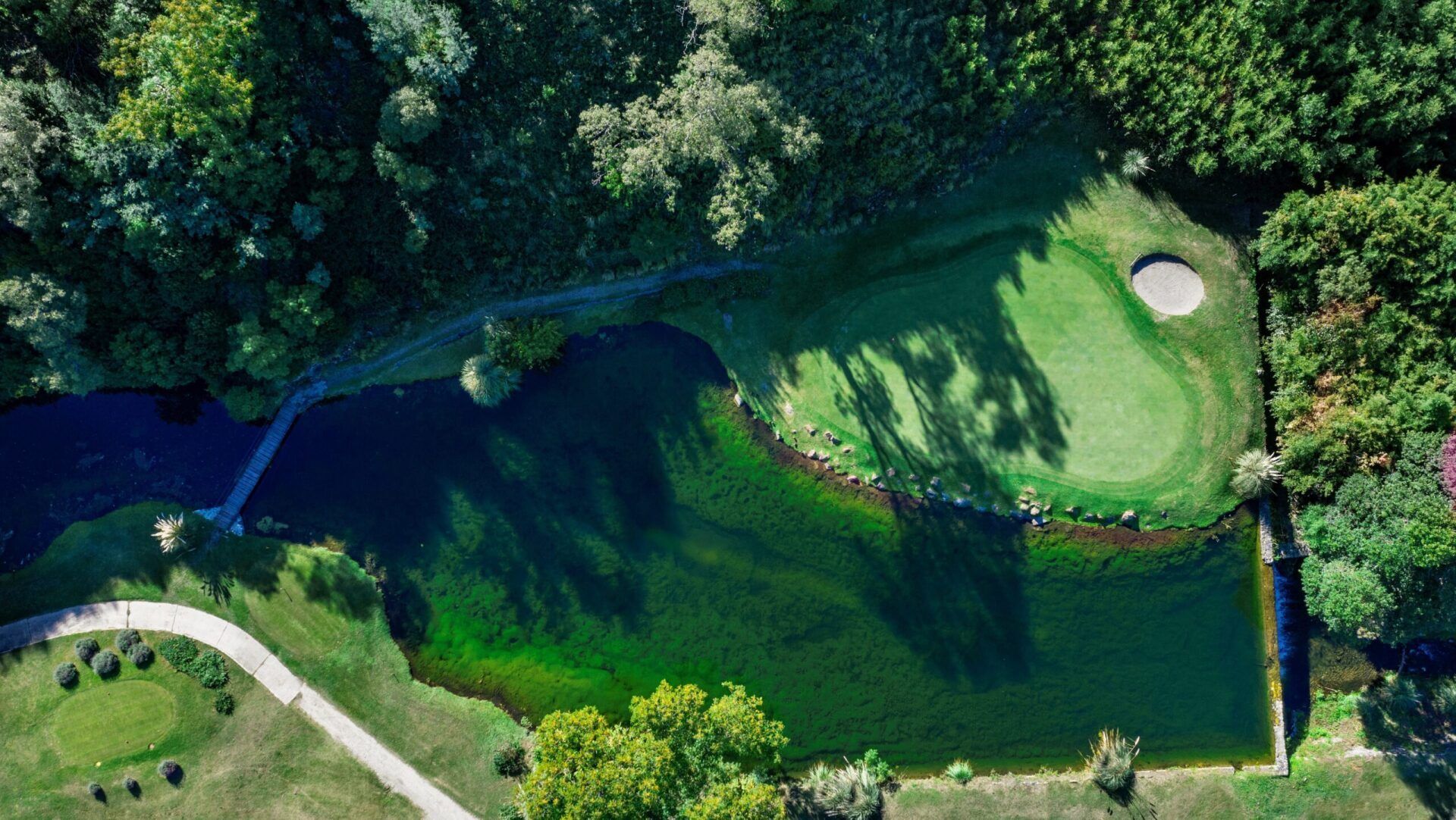Una vista aérea de un campo de golf con un estanque en el medio rodeado de árboles.