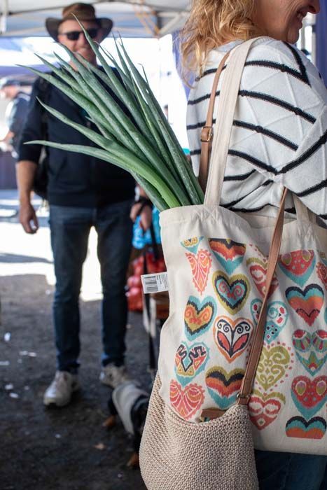 Market shopper carrying groceries in a patterned tote bag