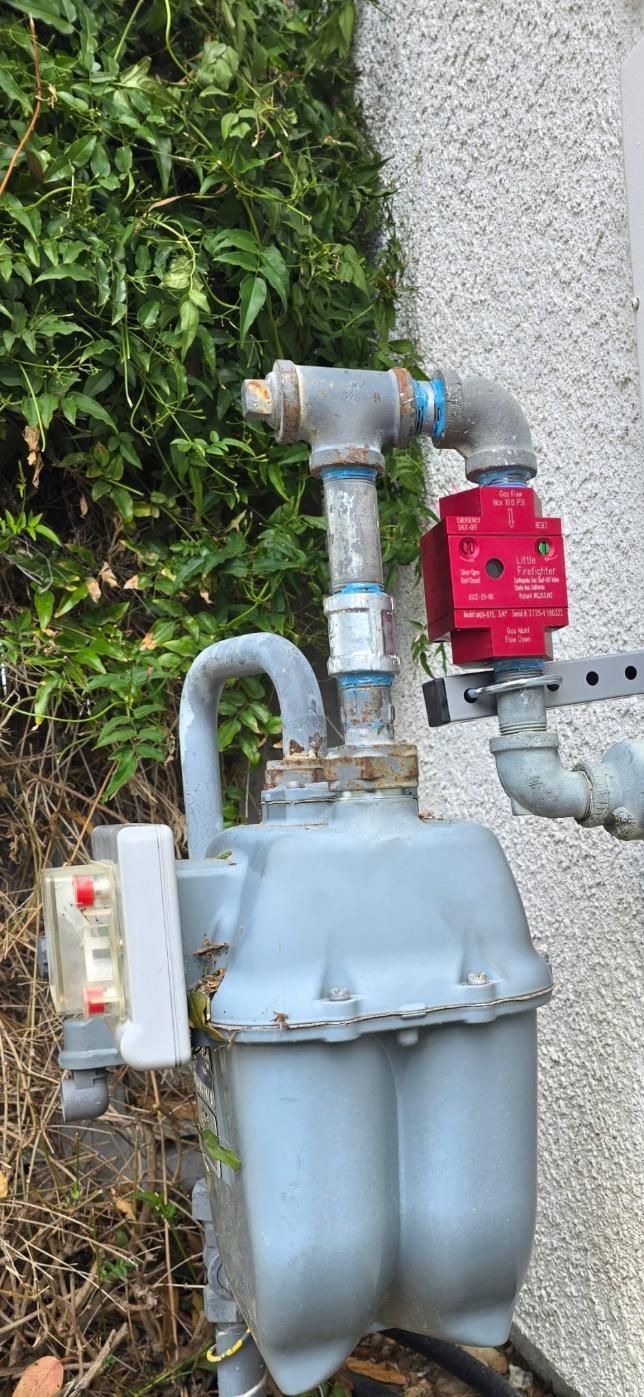 Outdoor gas meter and piping beside a building wall with greenery nearby