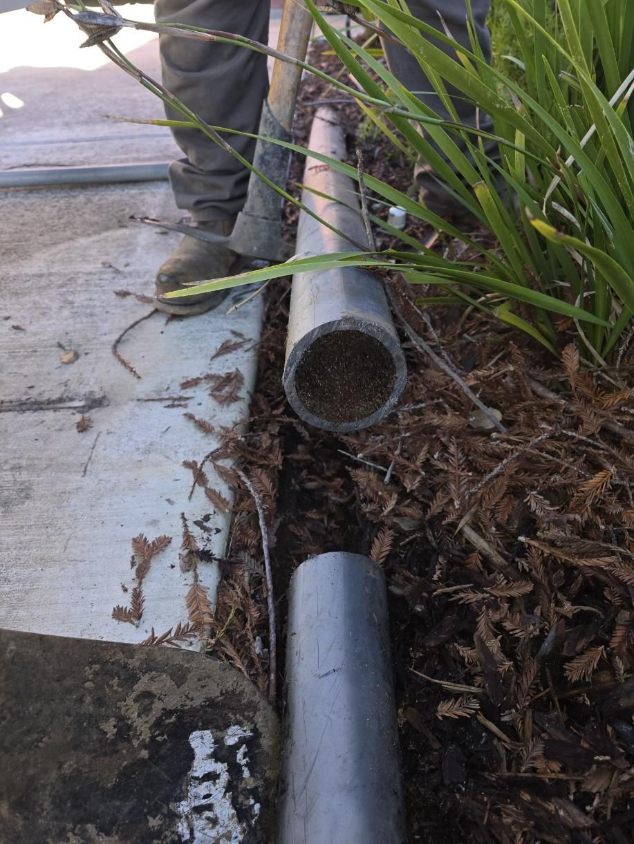 Broken drainage pipe beside a sidewalk next to plants and exposed soil