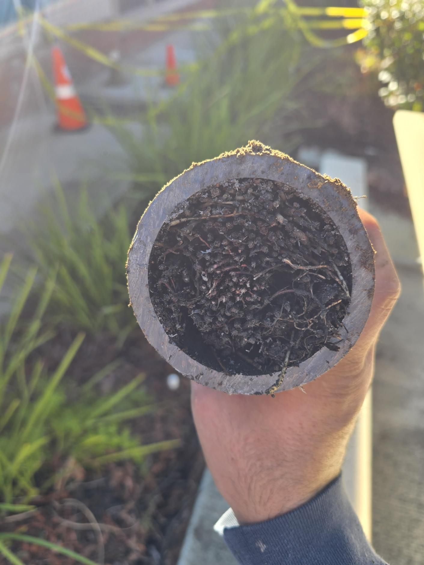 Hand holding a cut pipe end with dark debris inside, outdoors near orange traffic cones.