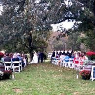 Outdoor wedding ceremony under large trees with seated guests along a grassy aisle