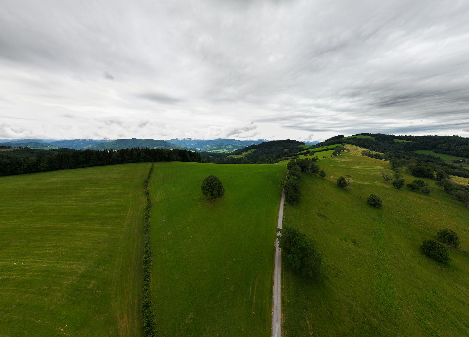 Wienerwald Panorama