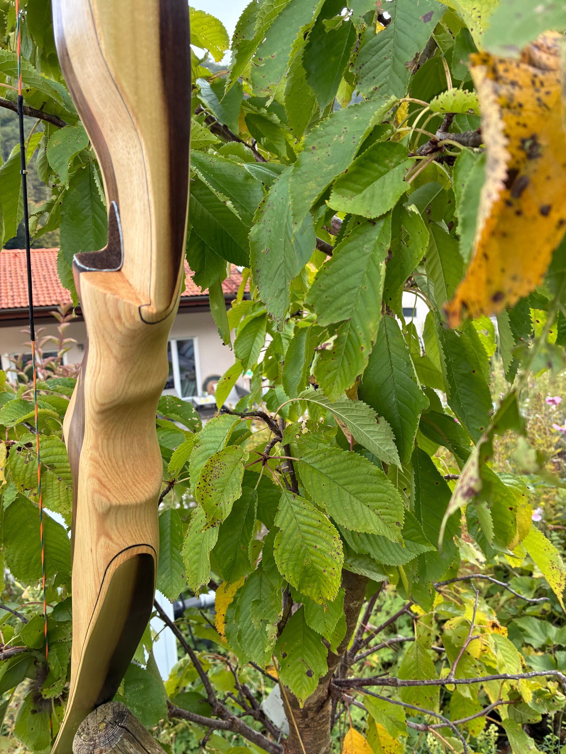 Modell Hawara mit schmalen Griff