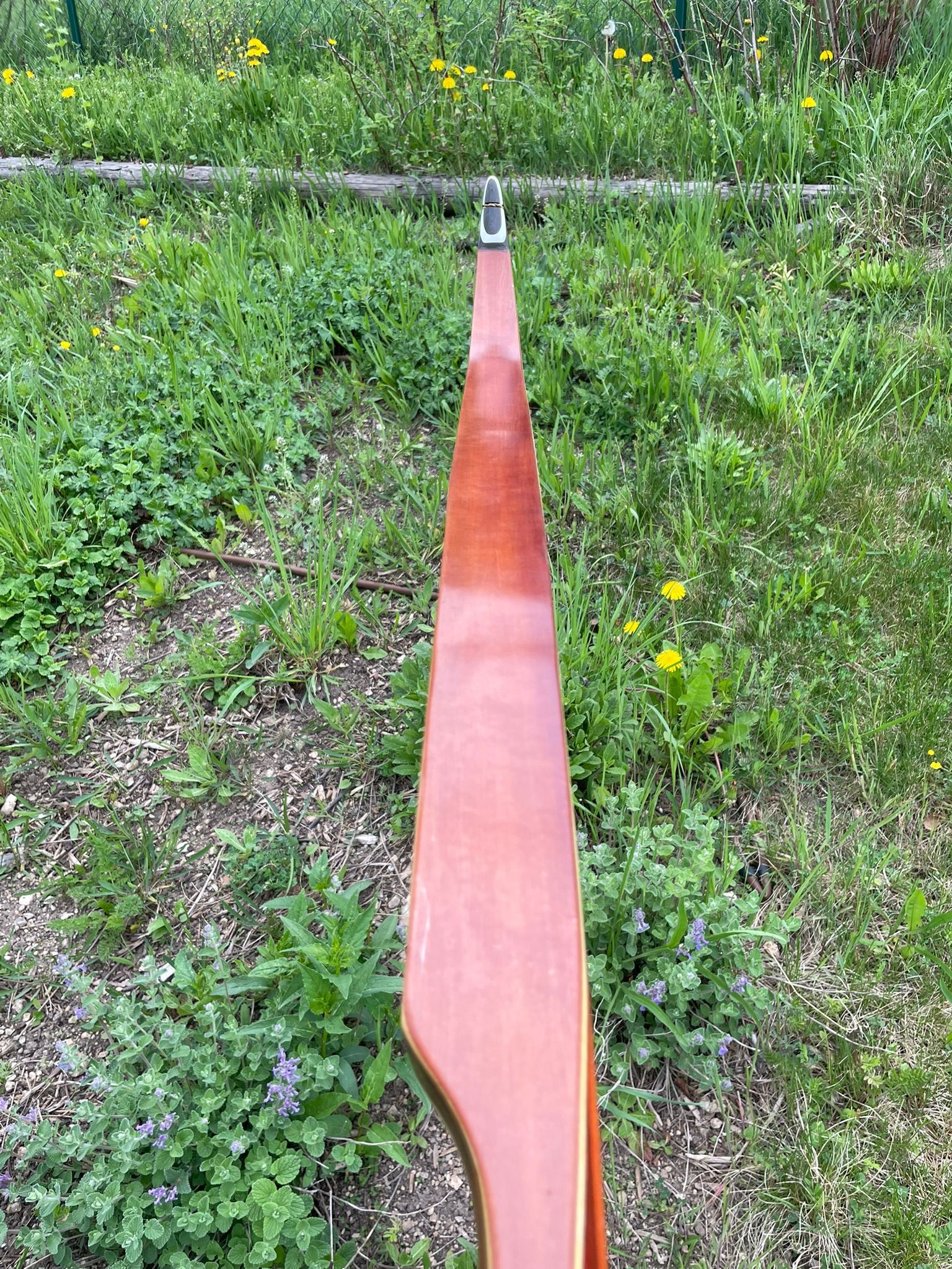 Bogenschuss
