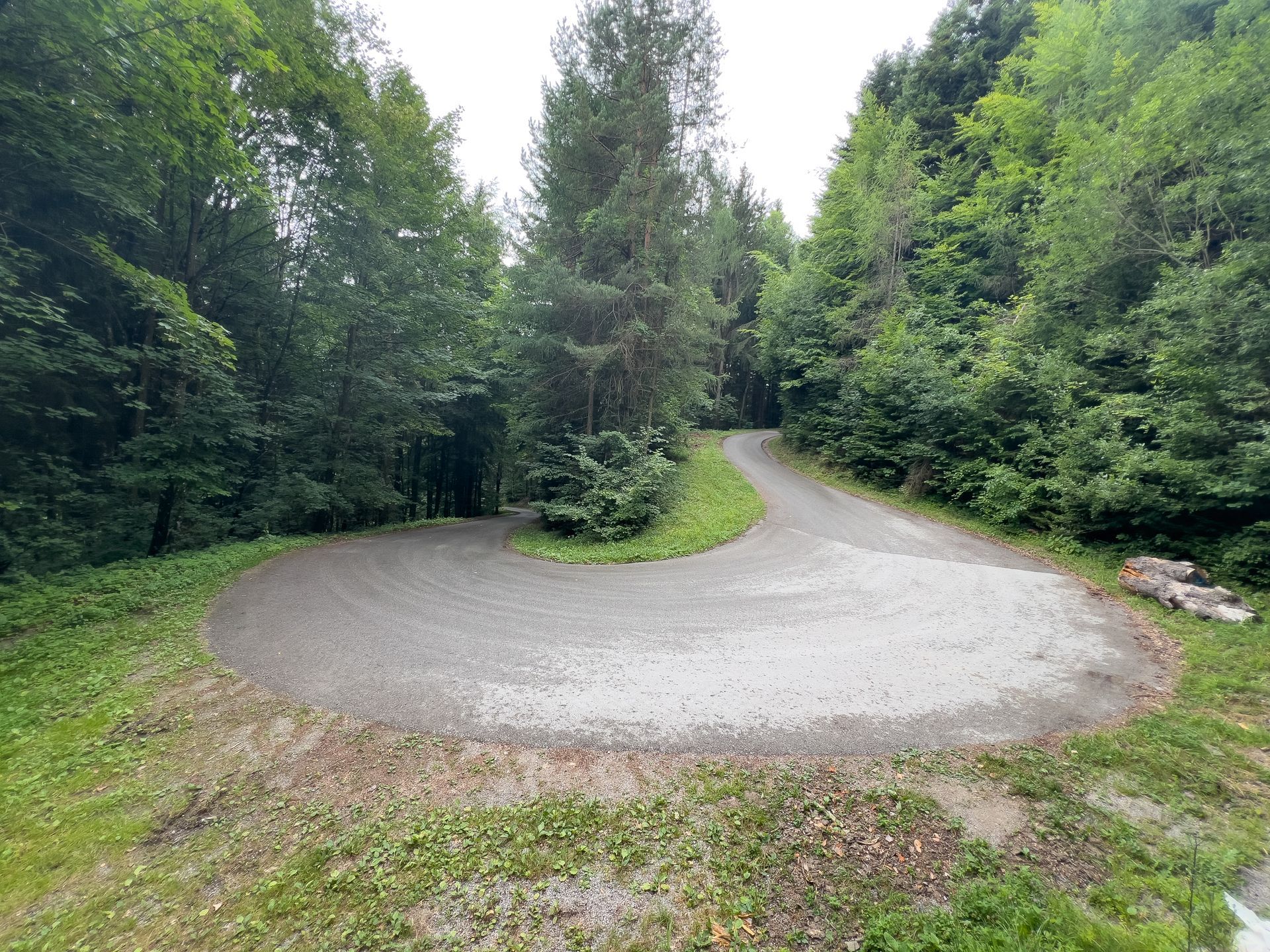 Waldstück mit Straße