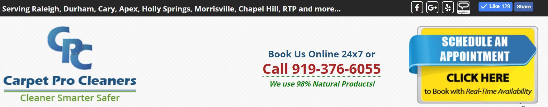 A website for carpet pro cleaners has a schedule an appointment button