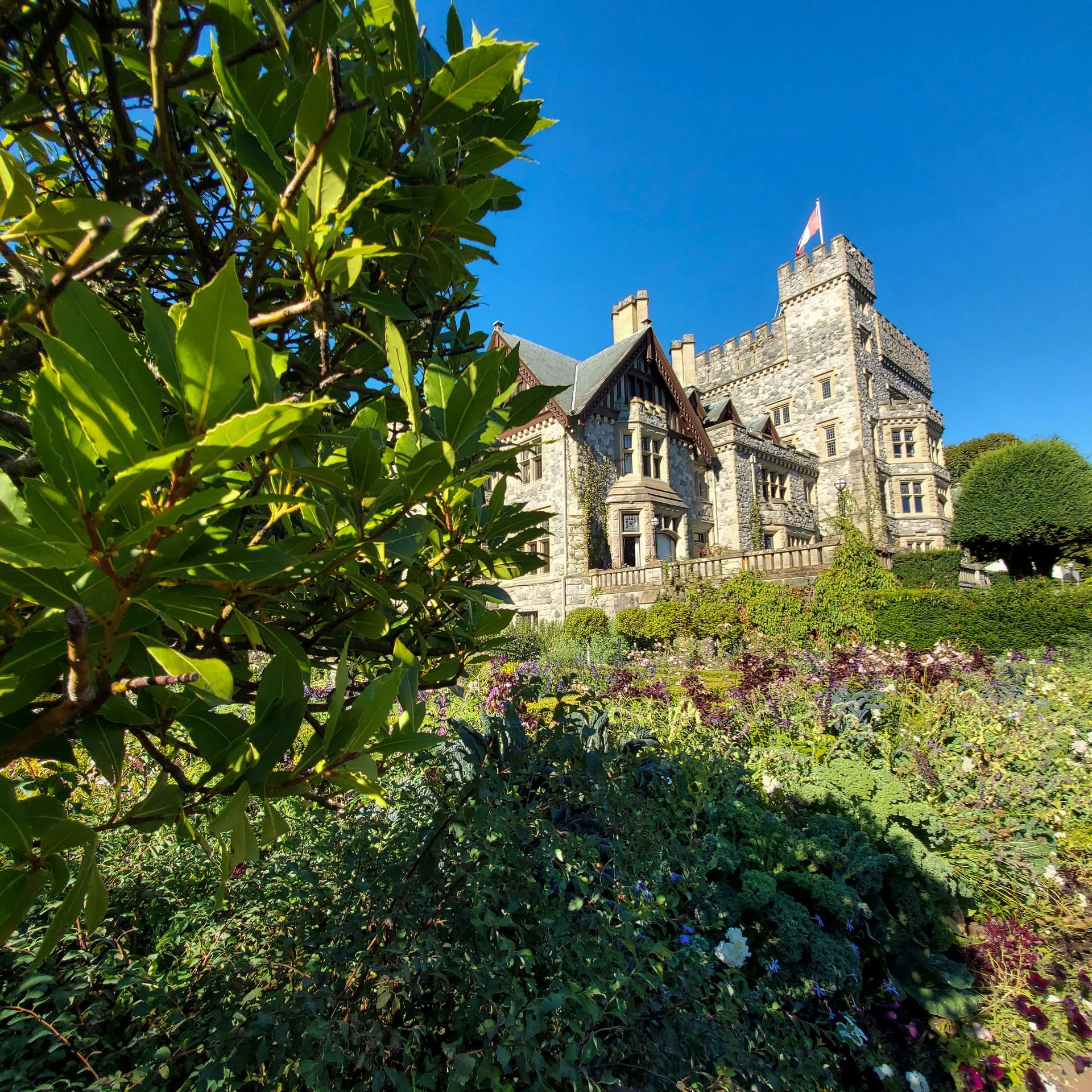 Summer time at Hatley Castle Gardens