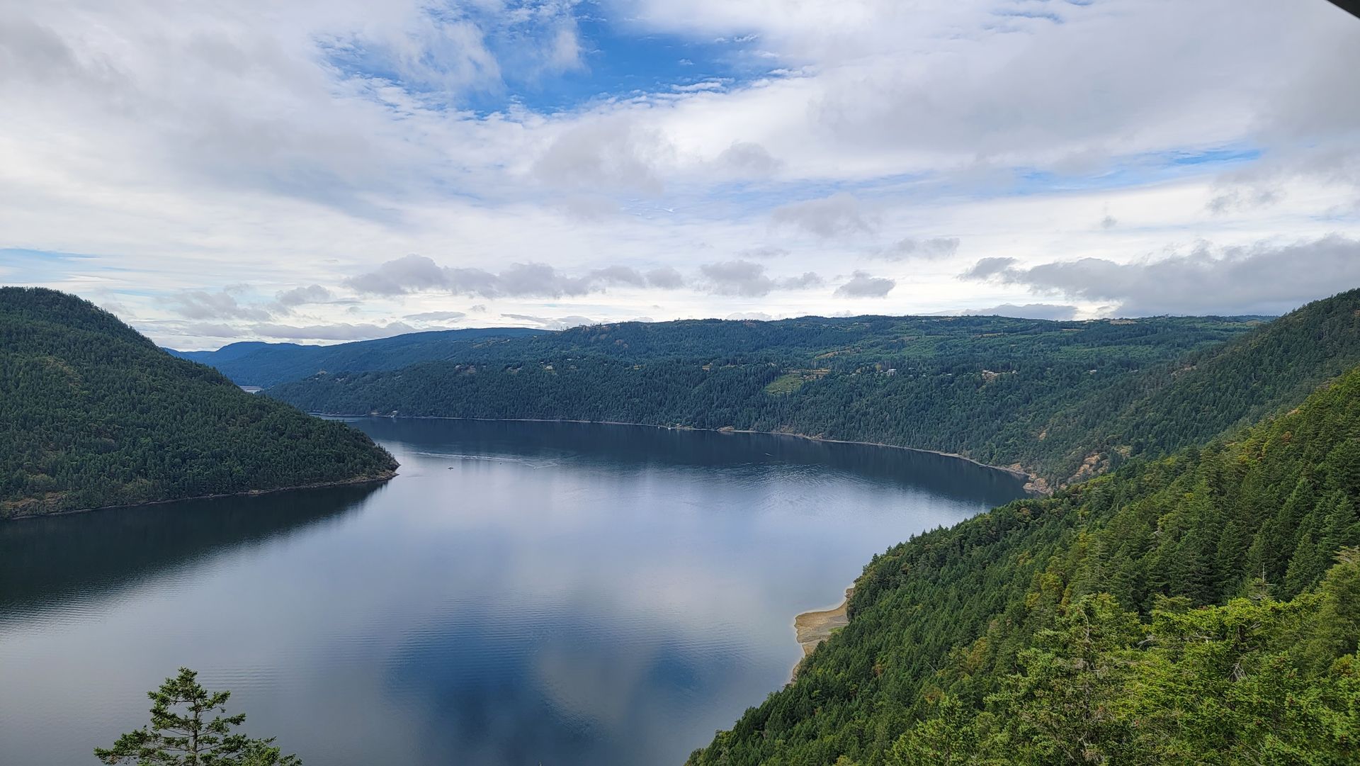 View from the top of the Malahat SkyWalk