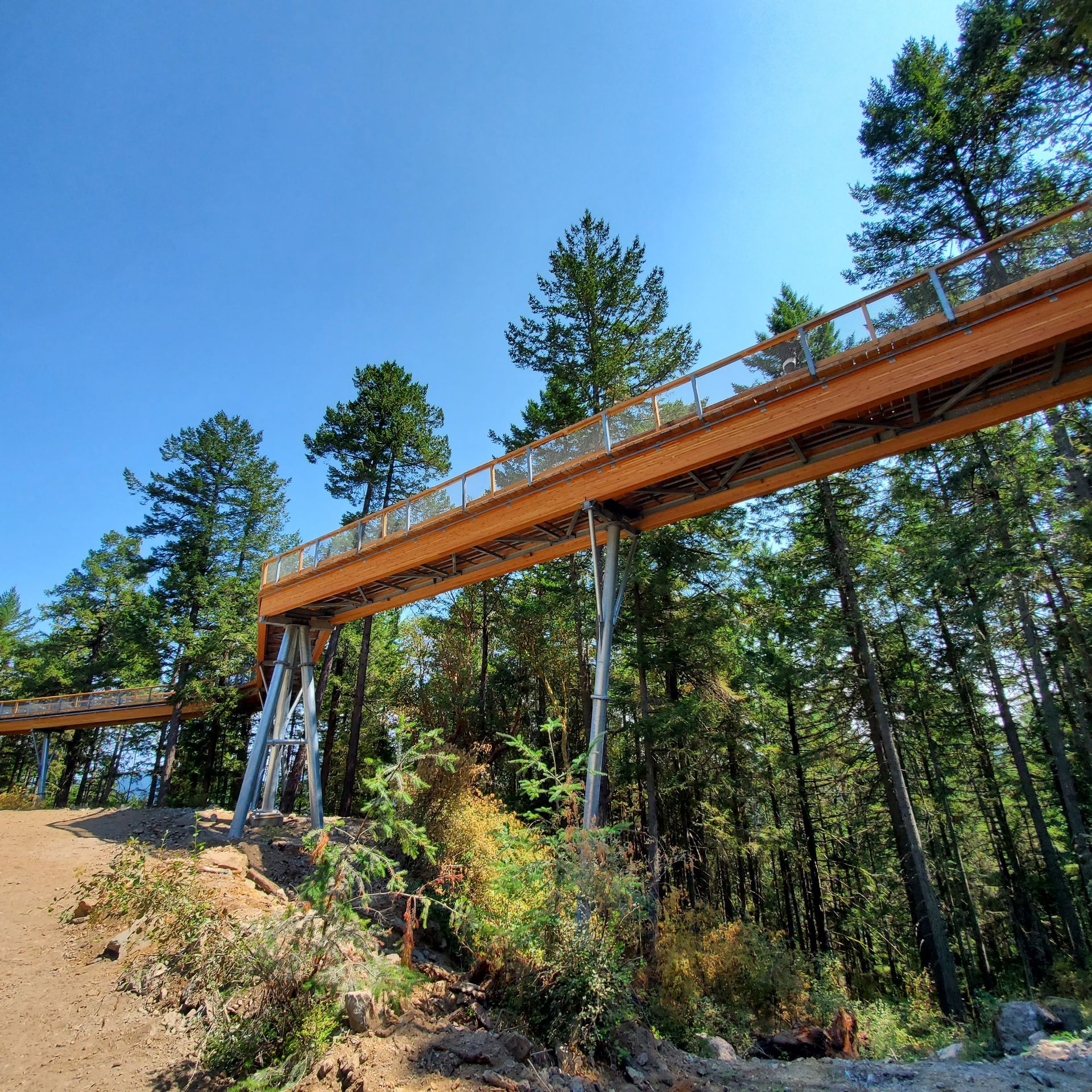 Tree Walk at the Malahat SkyWalk