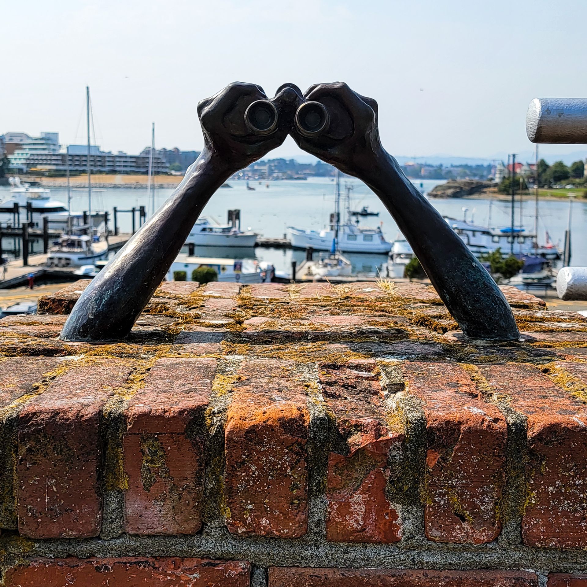 Hands of Time: Holding Binoculars