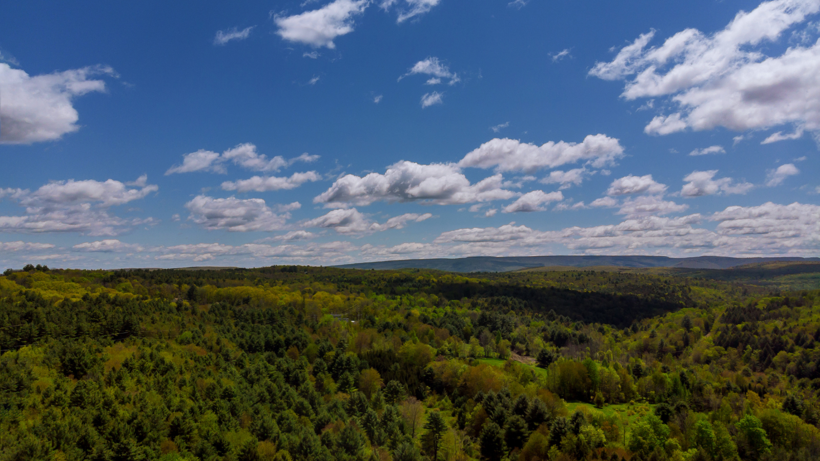 The poconos Pennsylvania near Tannersville PA