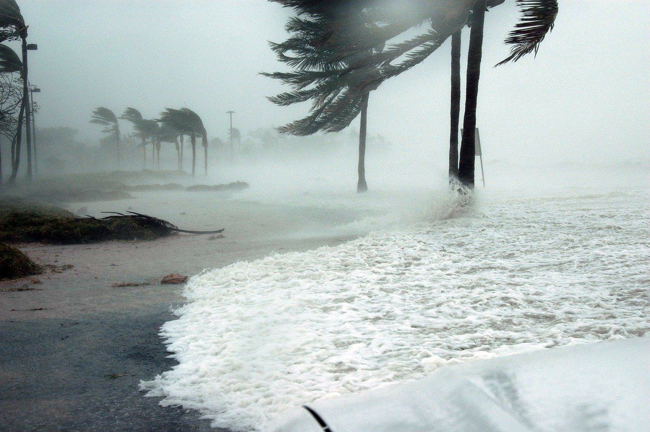 Strom Prep - Panama City Beach, FL - Home Watch of Walton Bay