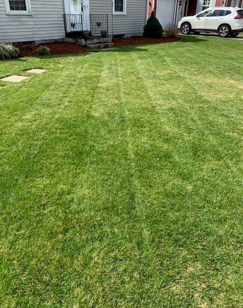 Freshly Mowed Lawn