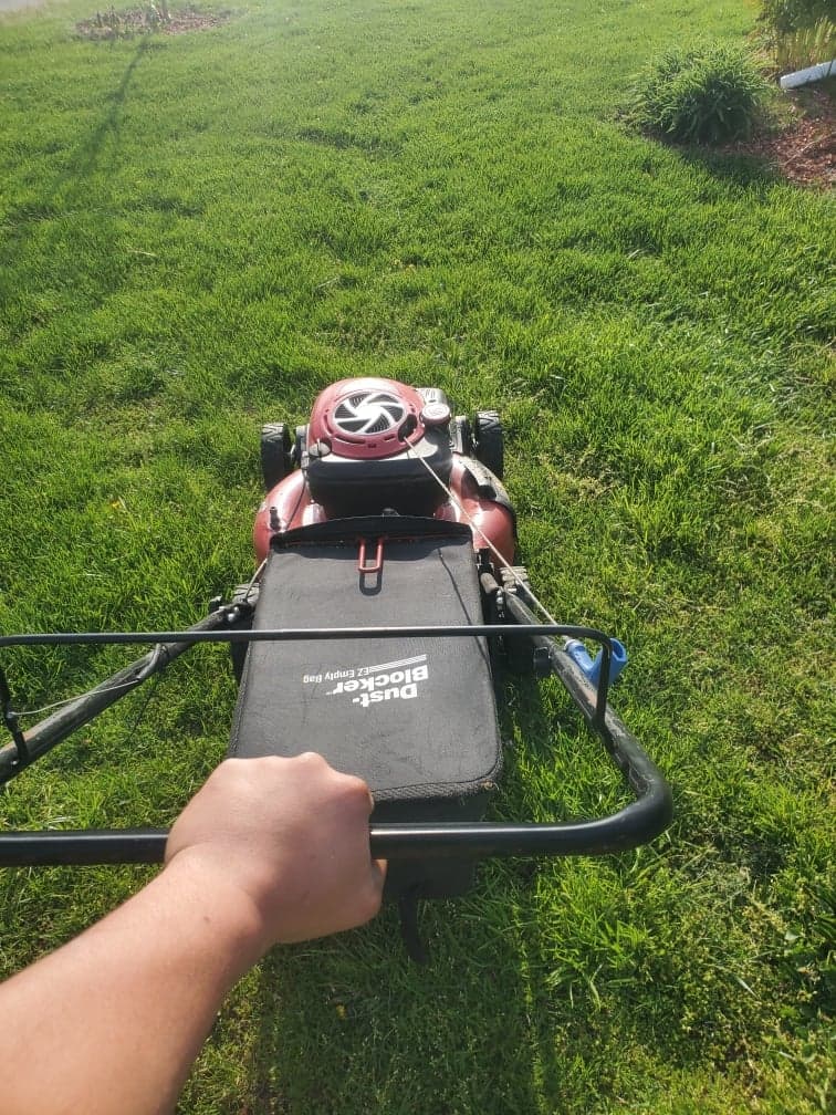 Lawn Mowing