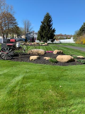Yard Landscape and Mulch Install