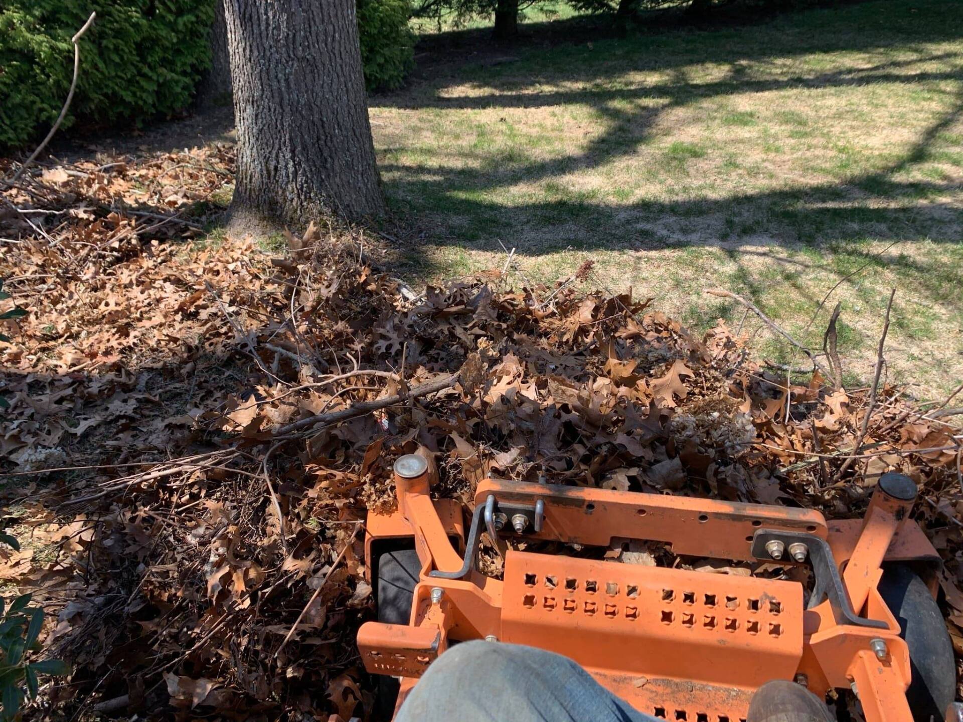 Fall Clean Up