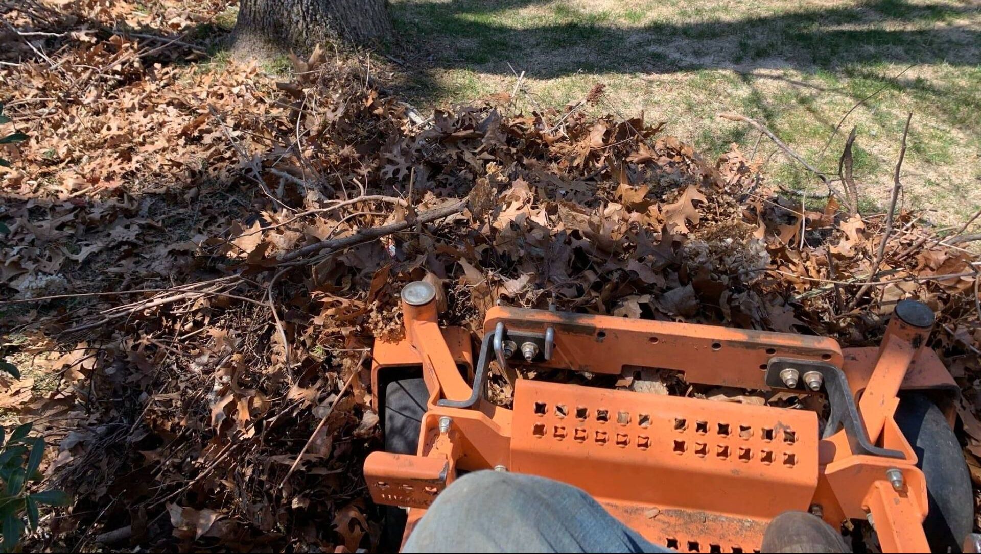 property clean up services