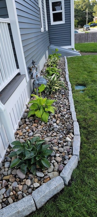 Plant Installation