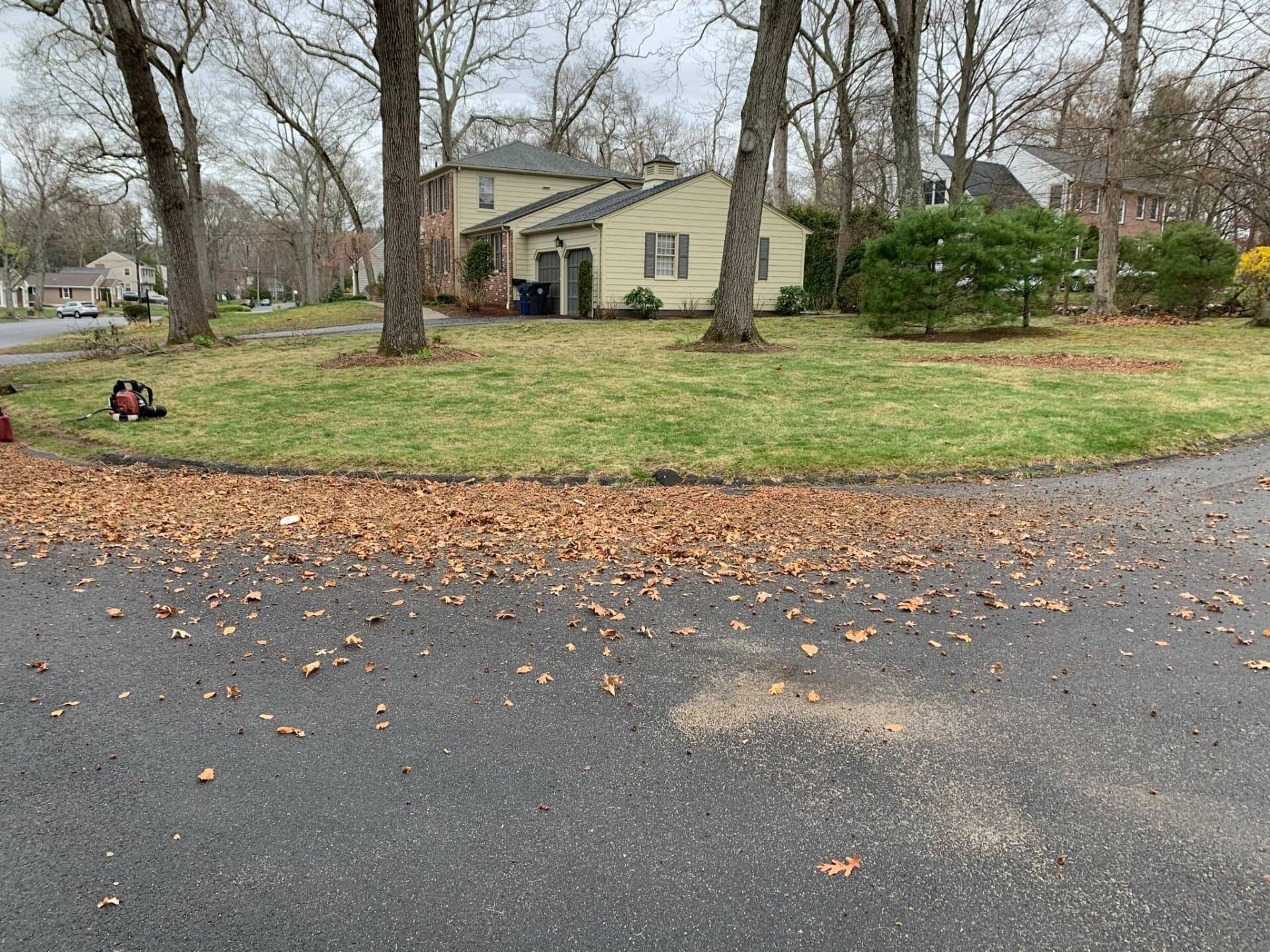 Lawn Care