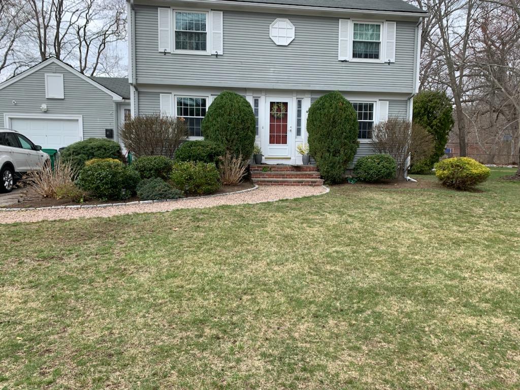 Yard Landscaping