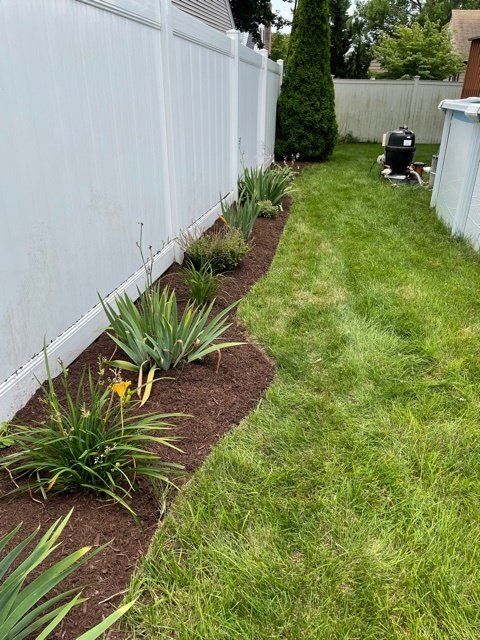 Plant Installation