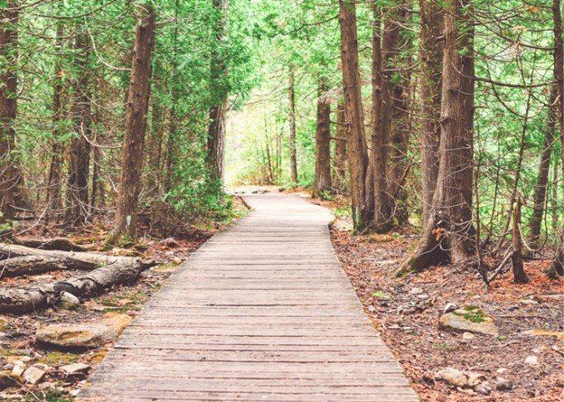 what is living in surrey like, surrey bc