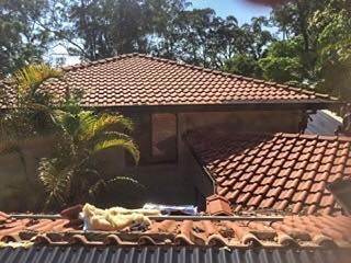 Tile Roof of a House With Palm Trees and Surrounding Green Trees — Darren Smith Roofing In Glendale, NSW