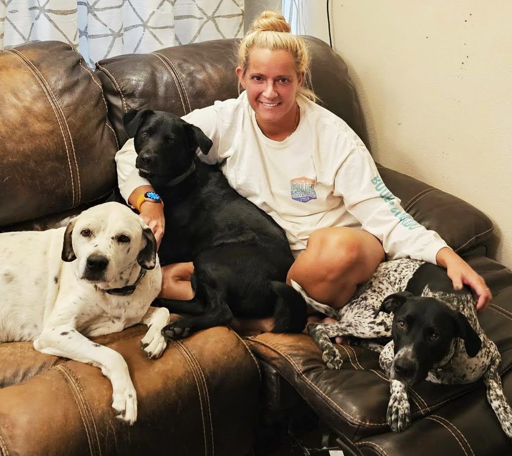 Woman on a brown leather couch with three dogs: a black lab and two spotted dogs.