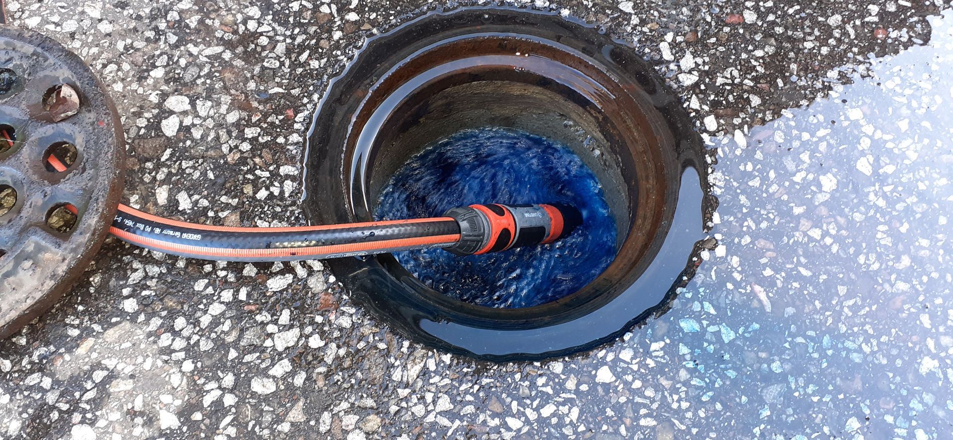Färbemittel für Leckortnung