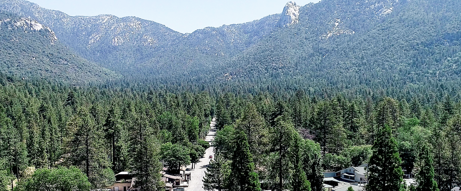 An aerial view of a road going through a forest with mountains in the background.