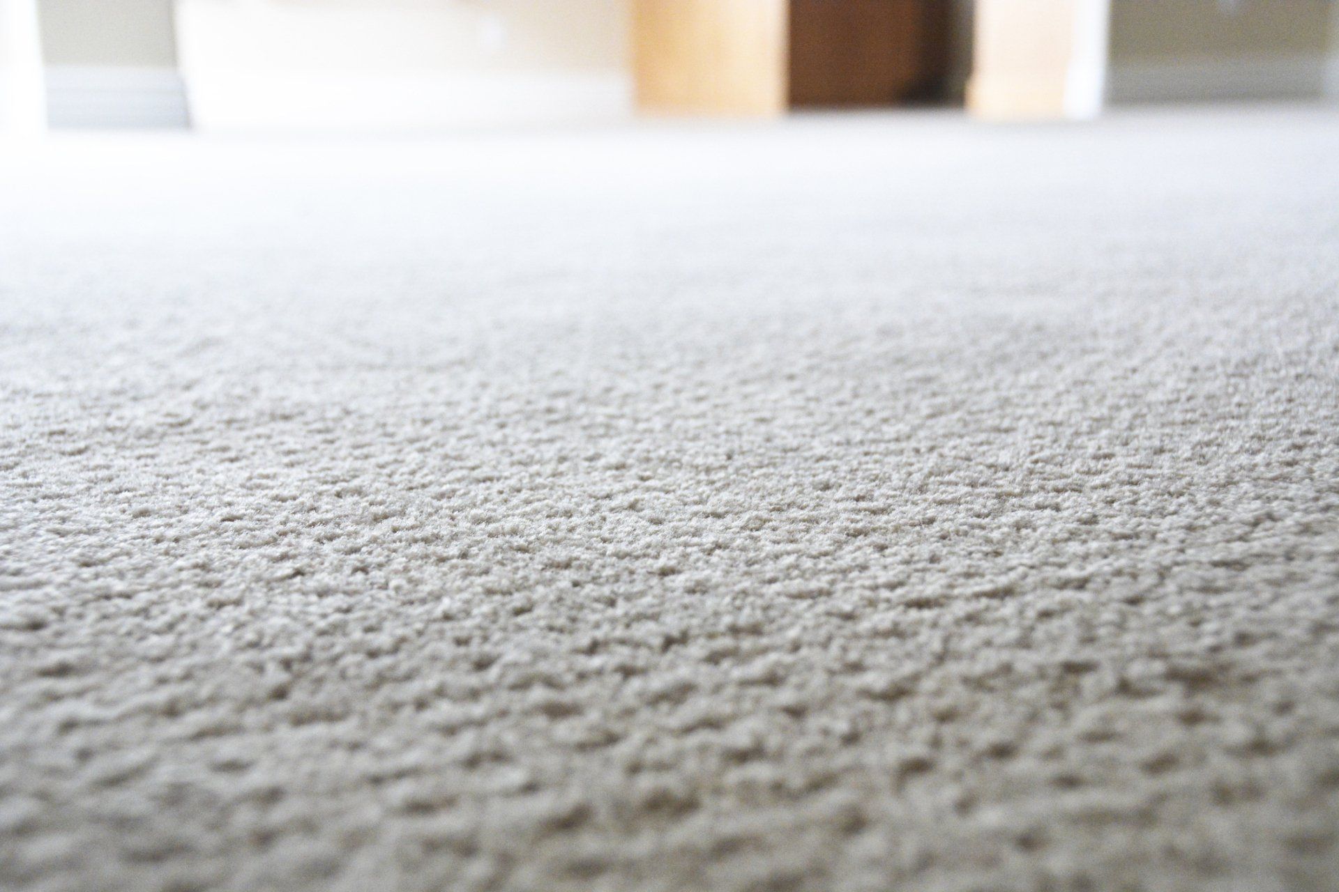 old carpet replacement company in painesville, oh