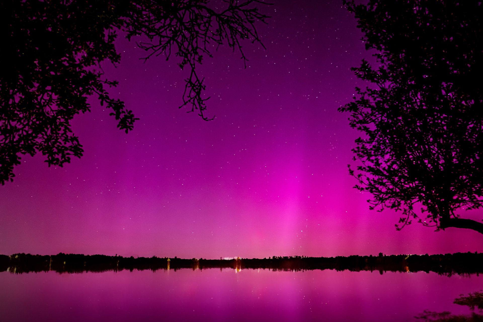 Violette Nordlichter leuchten nachts über einem ruhigen See, eingerahmt von dunklen Baumsilhouetten.