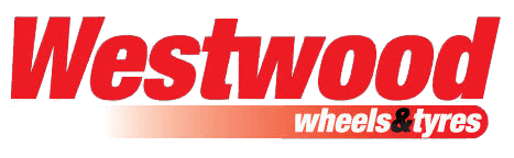 Logo Footer