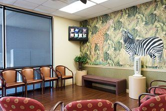 Waiting area with chairs, a wall mural of zebras, a TV, and large windows.