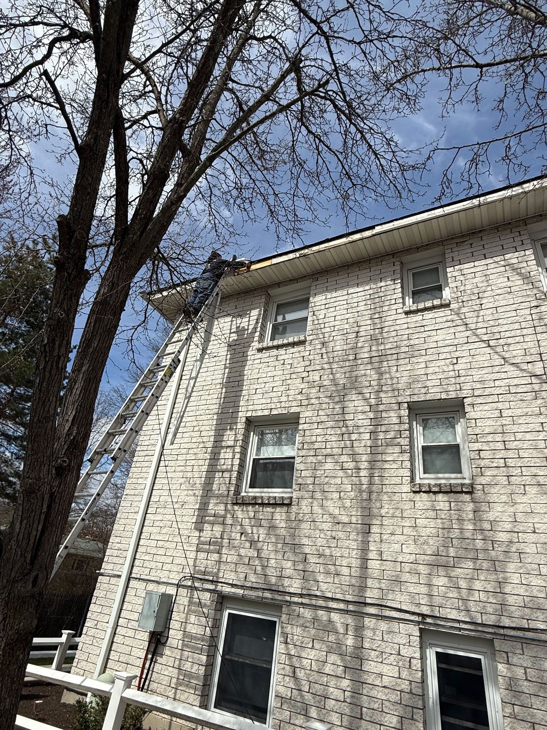 White brick house with bare trees against a blue sky