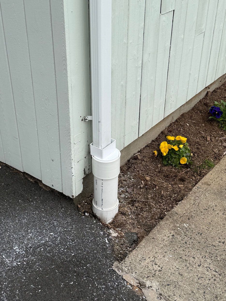White downspout at building corner beside sidewalk, mulch bed with yellow flowers nearby