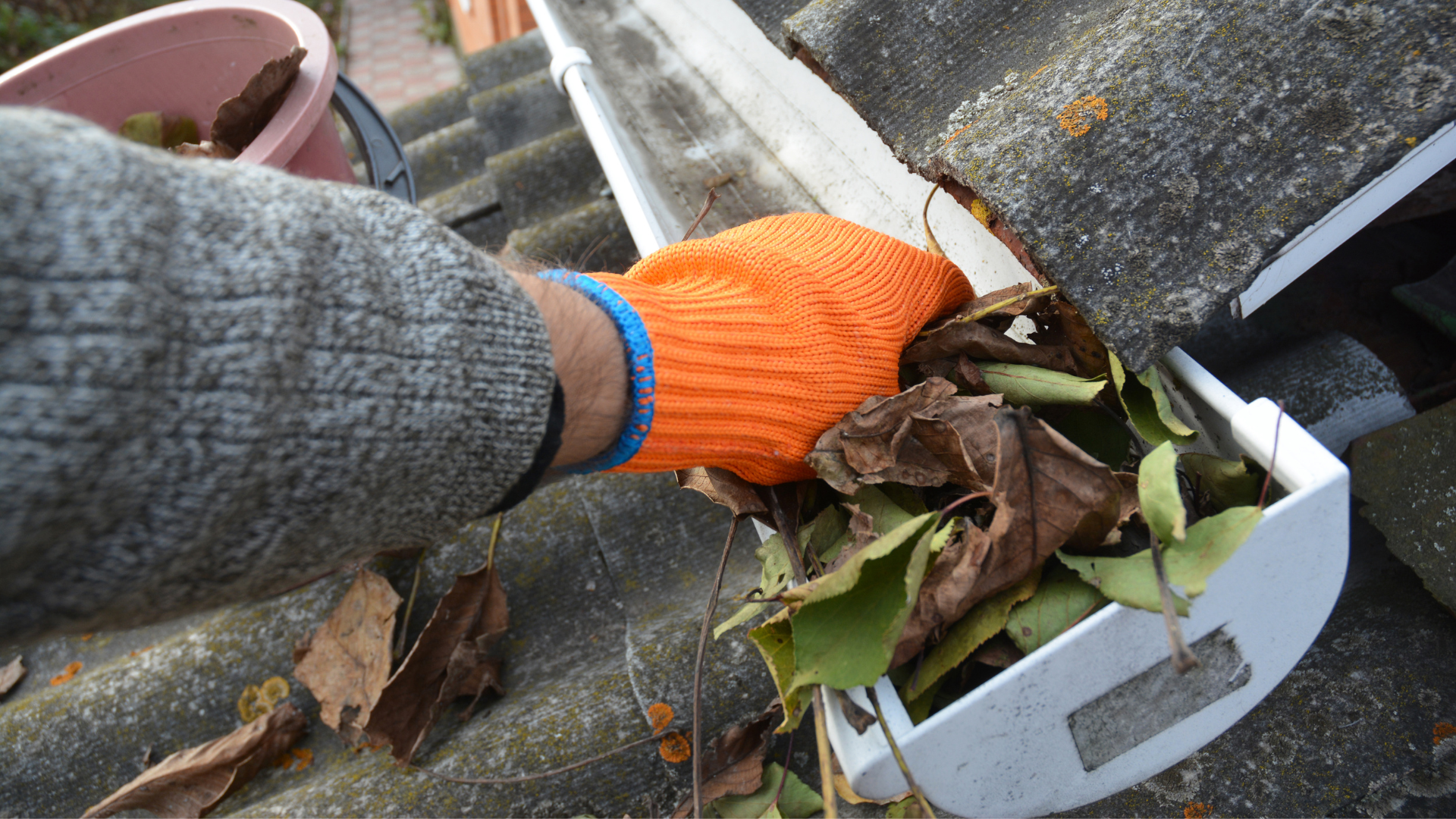 Gloved hand clearing leaves and debris from a rooftop gutter with a white downspout outlet
